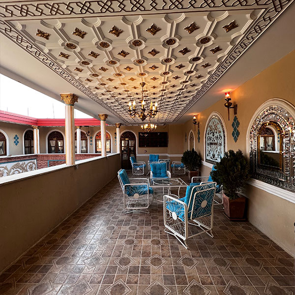 Roof Terrace (7)